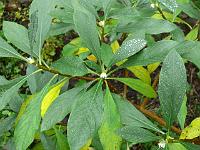 2011-10-31_15-04-48_0059